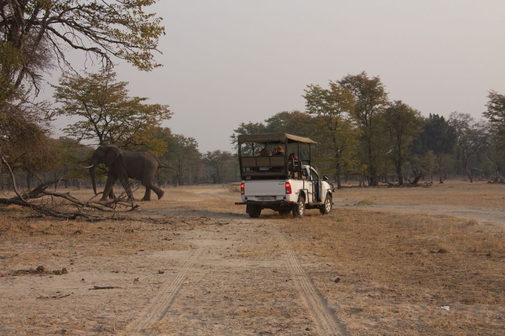 Mosi-oa-Tunya Game Drive