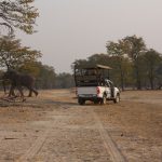 Mosi-oa-Tunya Game Drive