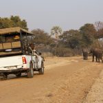 Mosi-oa-Tunya Game Drive